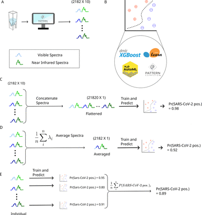 Supplementary Figure 1.