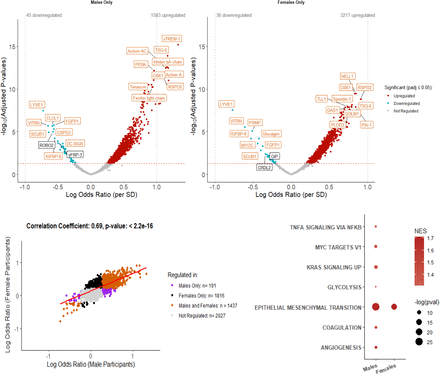 Figure 4: