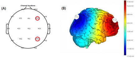 Fig. 1.