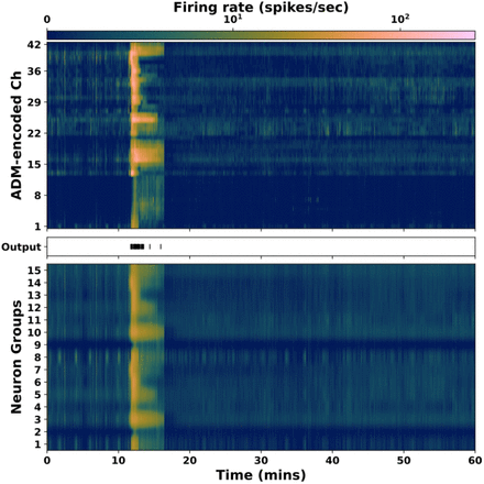 Fig. 3: