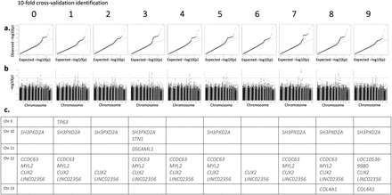 Figure S1.