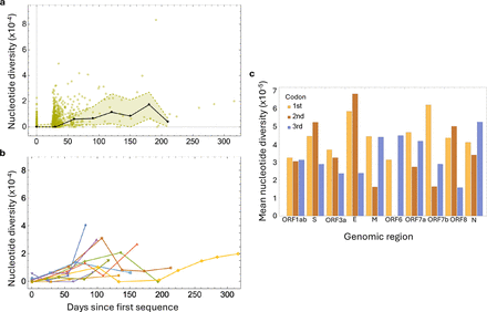 Figure 3: