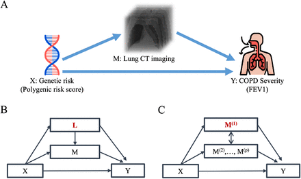 Fig 1: