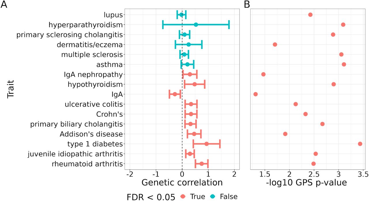 Leveraging pleiotropy identifies common-variant associations with selective  IgA deficiency | medRxiv