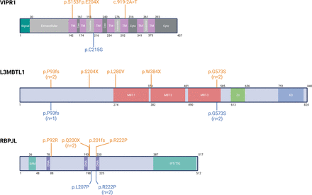 Figure 5: