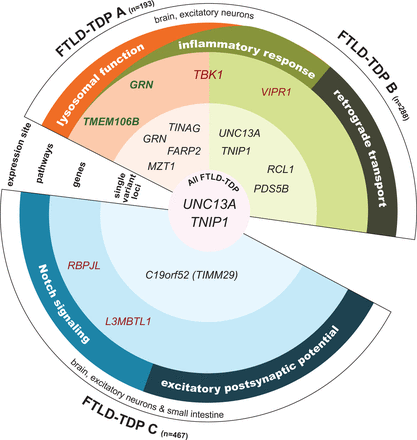 Figure 6: