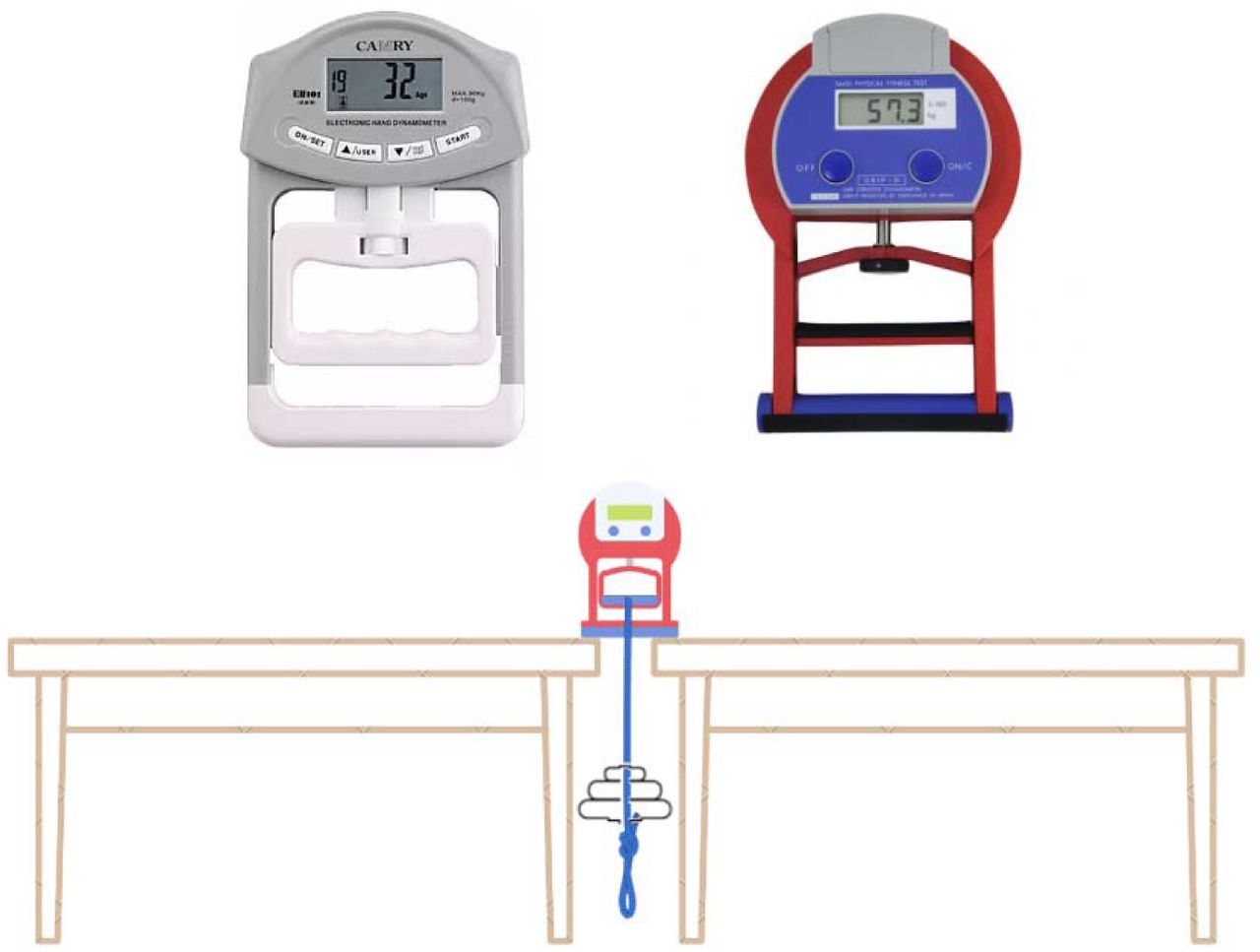 Reliability and criterion validity of a low-cost handgrip dynamometer: The  Camry | medRxiv