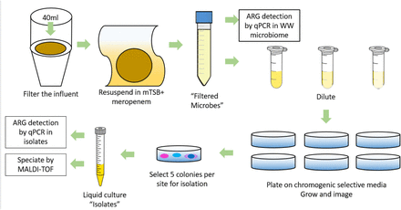 Figure 1: