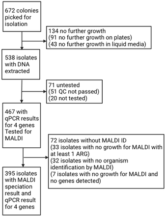 Figure 2: