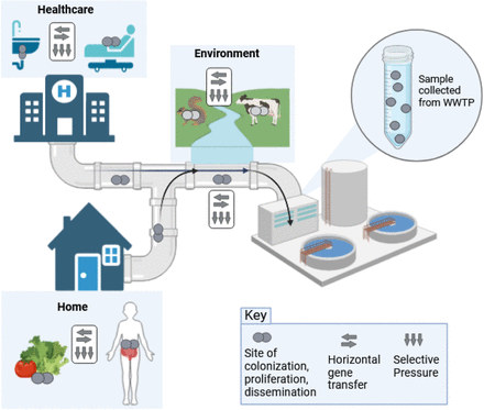 Figure 4: