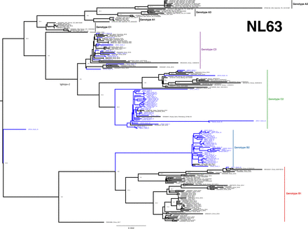 Figure 4: