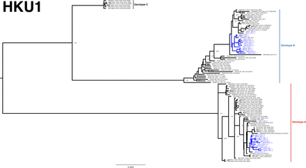 Figure 5: