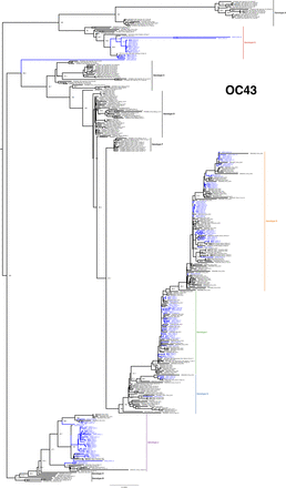 Figure 6: