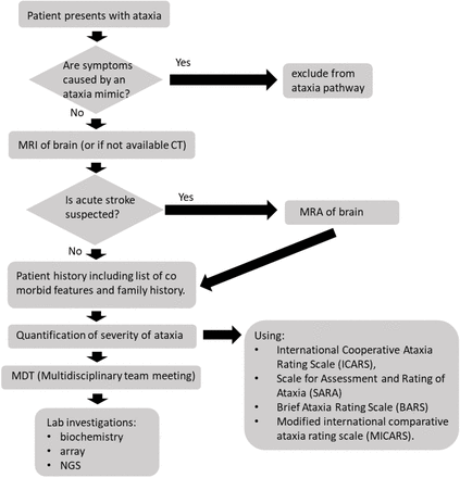 Fig 1.