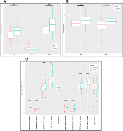 Figure 3: