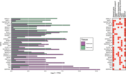 Figure 2: