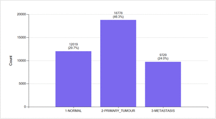 Figure 2: