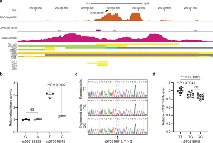 Fig. 4: