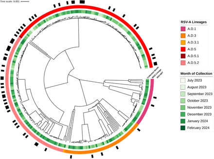 FIGURE 1: