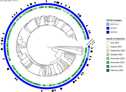 FIGURE 2: