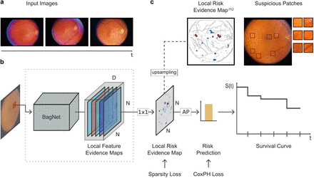 Fig. 1.