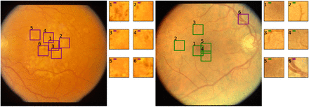 Fig. 3.