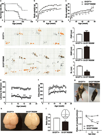 Fig. 2: