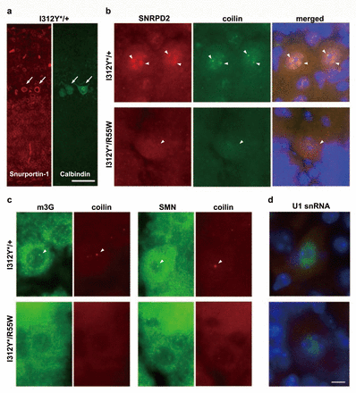 Fig. 4: