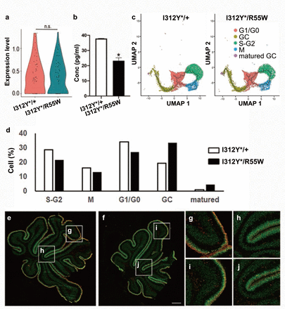 Fig. 6: