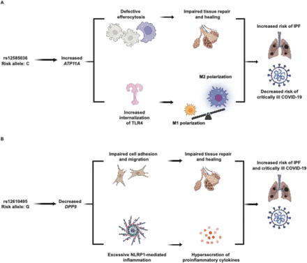 Figure 10: