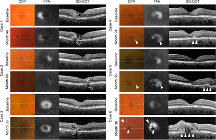 Figure 2: