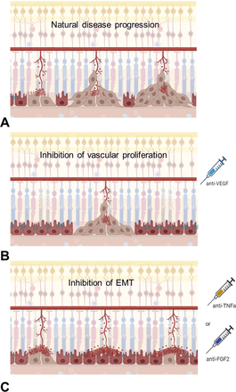 Figure 5: