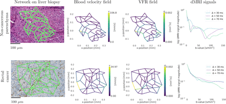 Figure 3: