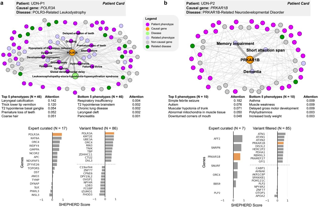 Few shot learning for phenotype-driven diagnosis of patients with rare  genetic diseases | medRxiv