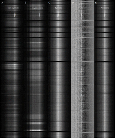 Figure 1: