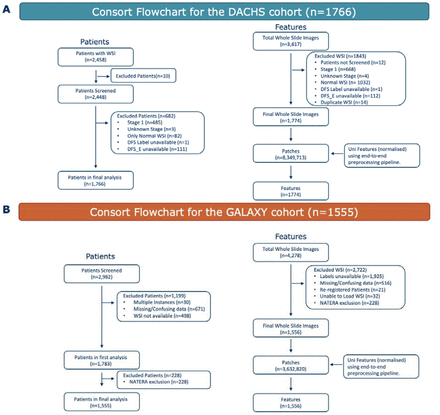 Supplementary Figure 1: