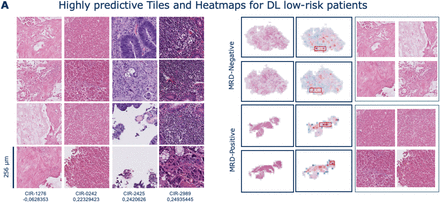 Supplementary Figure 3: