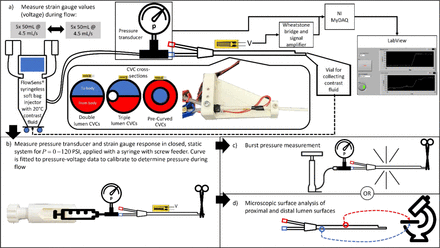 Figure 1: