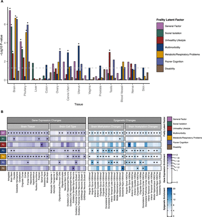 Figure 4: