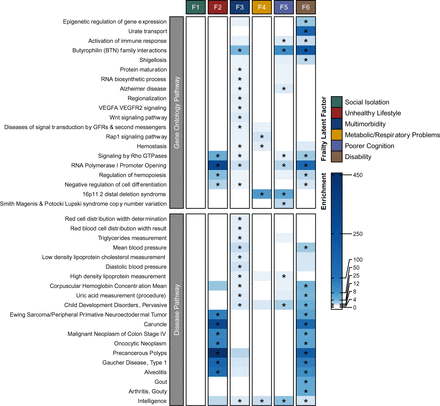 Figure 5: