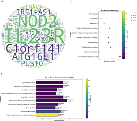 Figure 1: