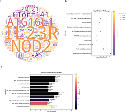 Figure 2: