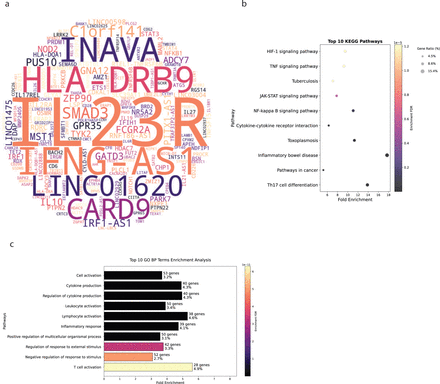 Figure 3: