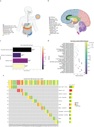 Figure 4: