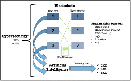 KidneyChain solution diagram showing blockchain, AI, and cybersecurity integration