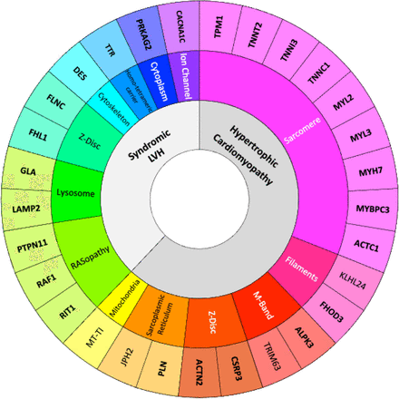 FIGURE 2: