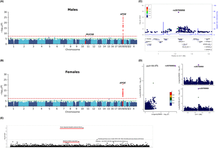 Supplementary Figure 2.