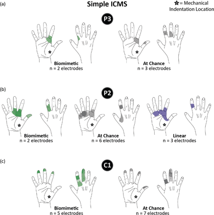 Supplementary Figure 2.