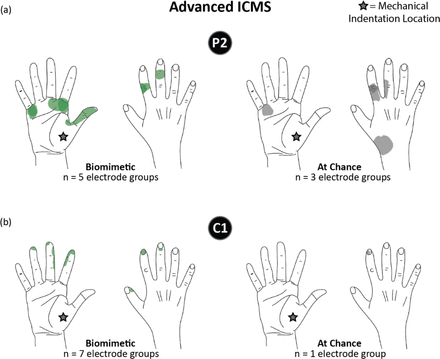 Supplementary Figure 3.