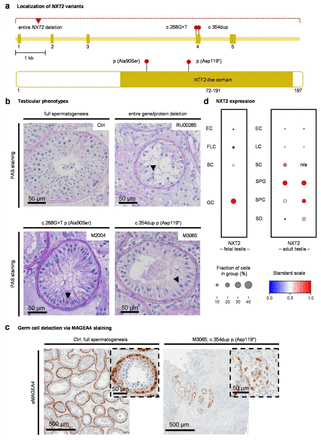 Figure 3: